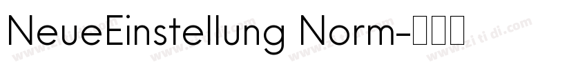 NeueEinstellung Norm字体转换